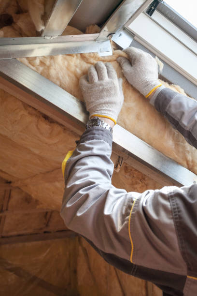 Best Crawl Space Insulation  in Long Lake, MN