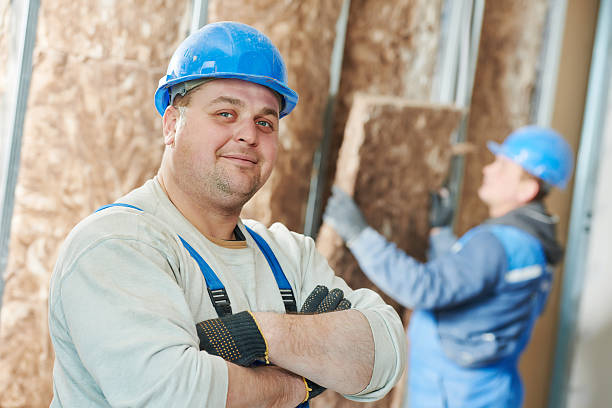 Best Home Insulation Services  in Long Lake, MN